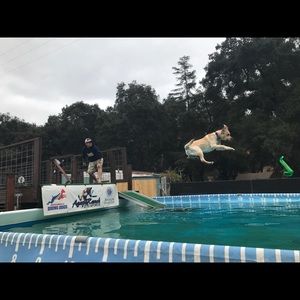 Meet your Posher, Gail